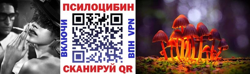 Галлюциногенные грибы мицелий  где купить наркотик  Пересвет 